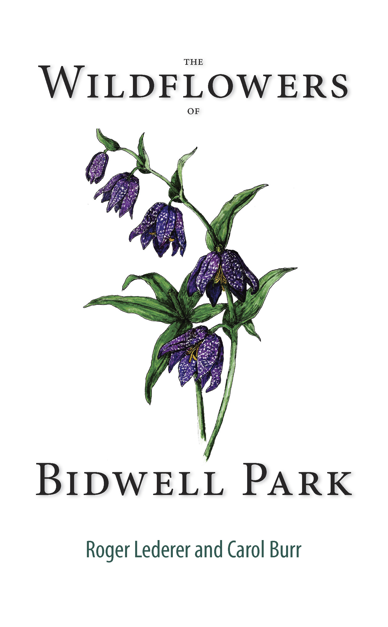 The Wildflowers of Bidwell Park